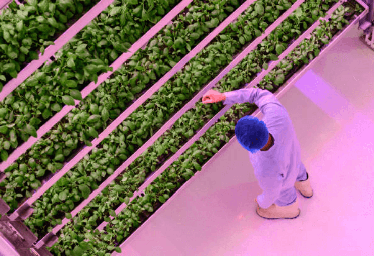 Le métier d'horticulteur