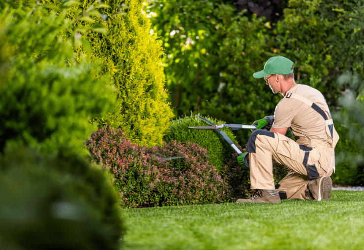 Travailler dans un jardin : 8 métiers pour vivre au vert