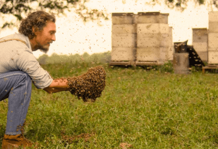 Apiculteur : un métier à découvrir avec Oklahoma Honey