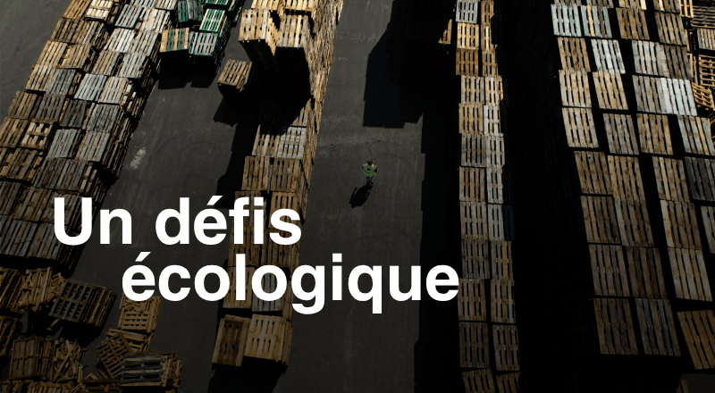 12 - Il reconditionne les palettes