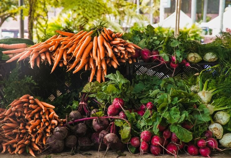 Les métiers de l'agriculture : Cultiver votre avenir au cœur de la nature